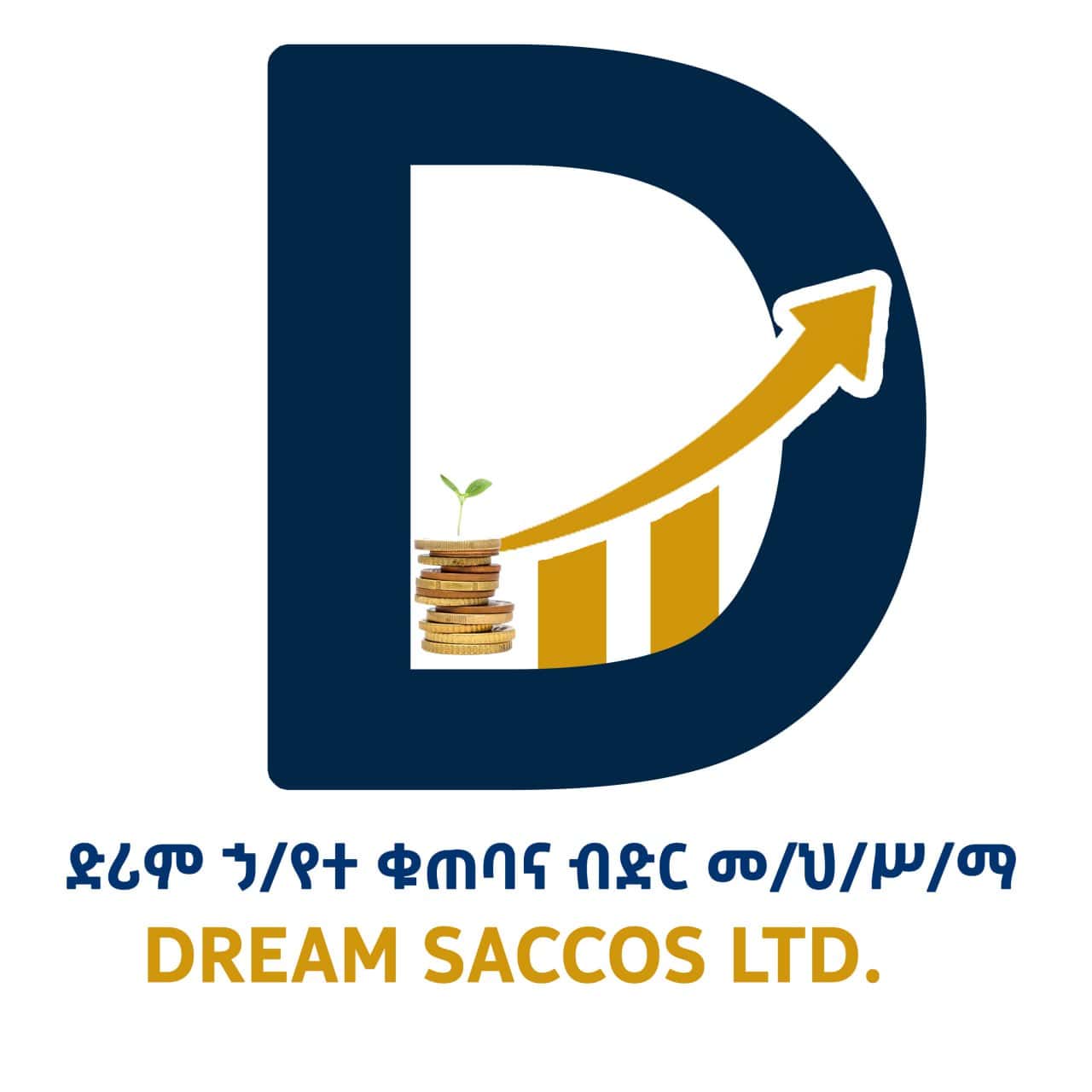 About Dream SACCOs