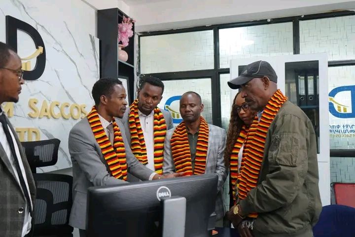 Dream Sacco Registered